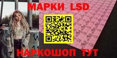 стаф Майкоп