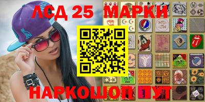 стаф Майкоп