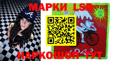 стаф Майкоп