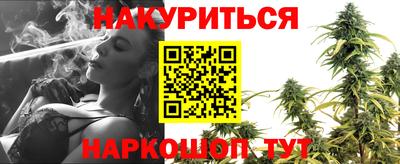 стаф Майкоп