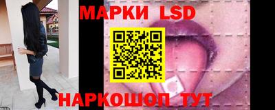 стаф Майкоп