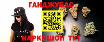 стаф Майкоп