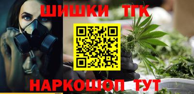 стаф Майкоп
