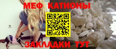 стаф Майкоп