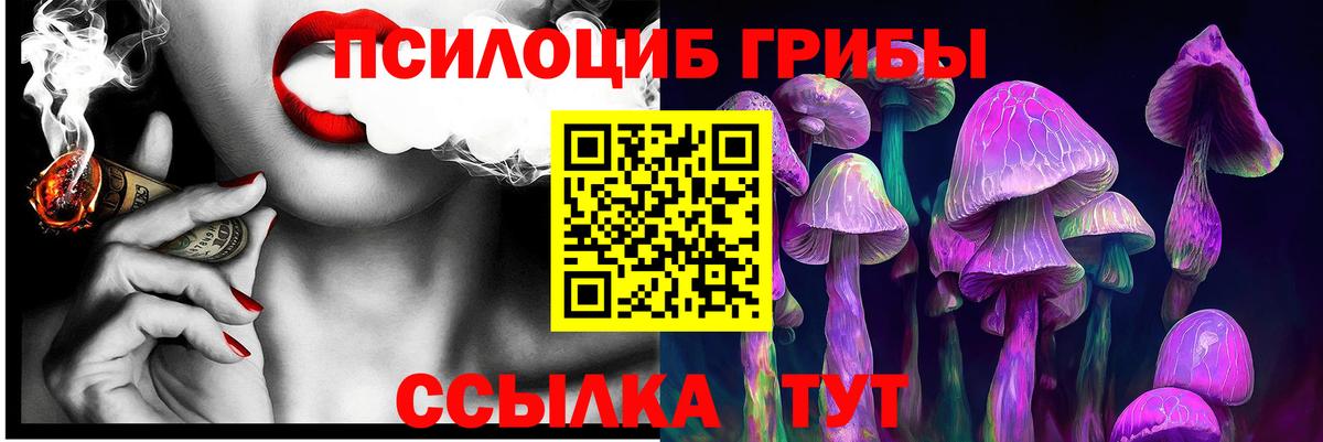 Кушва  Галлюциногенные грибы Psilocybe  Вход с VPN 