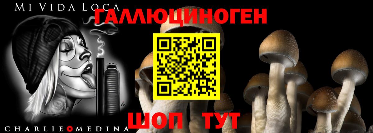 Псилоцибиновые грибы Magic Shrooms Кушва
